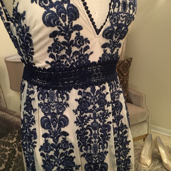 Dresses & Skirts - Navy Embroidered Sheer Maxi